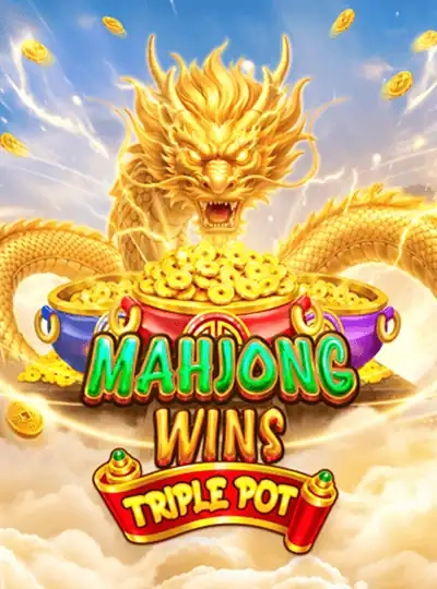 IPL cricket betting cover
